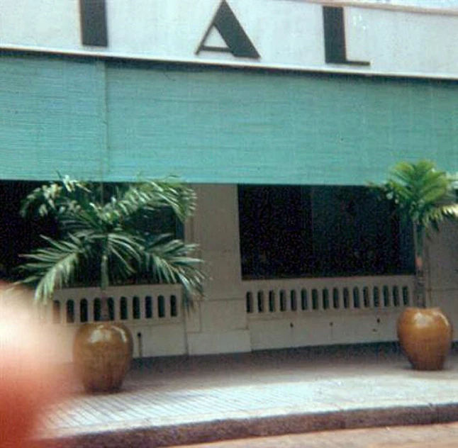 a street with three potted plants in front of a tall building