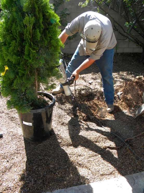 the man is putting a tree in the planter