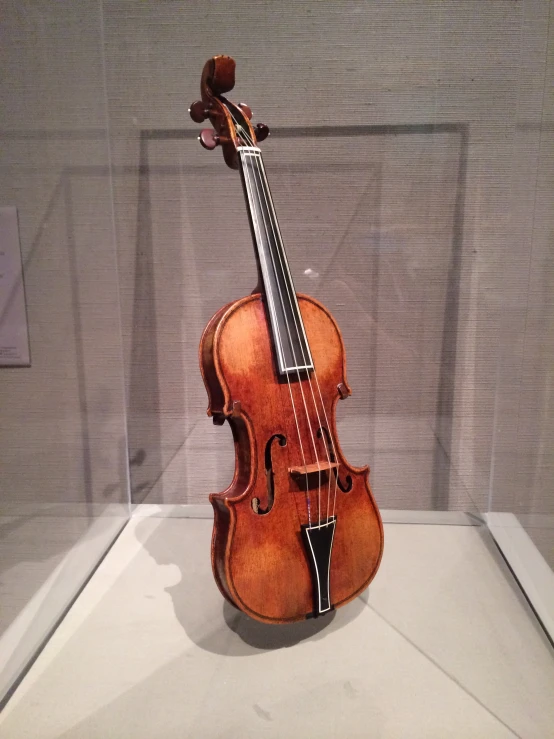 a violin with a wooden neck sits in a glass case