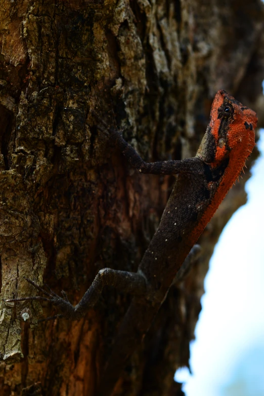 a tree trunk with a lizard crawling on it