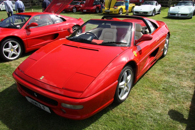 red sports cars parked in a row on grass