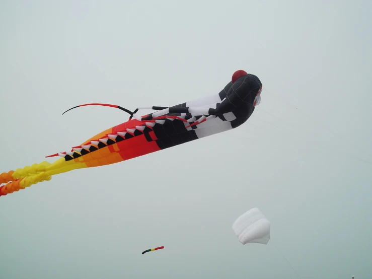 two kites flying with a white and red kite