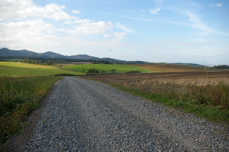 a gravel road running through a green field