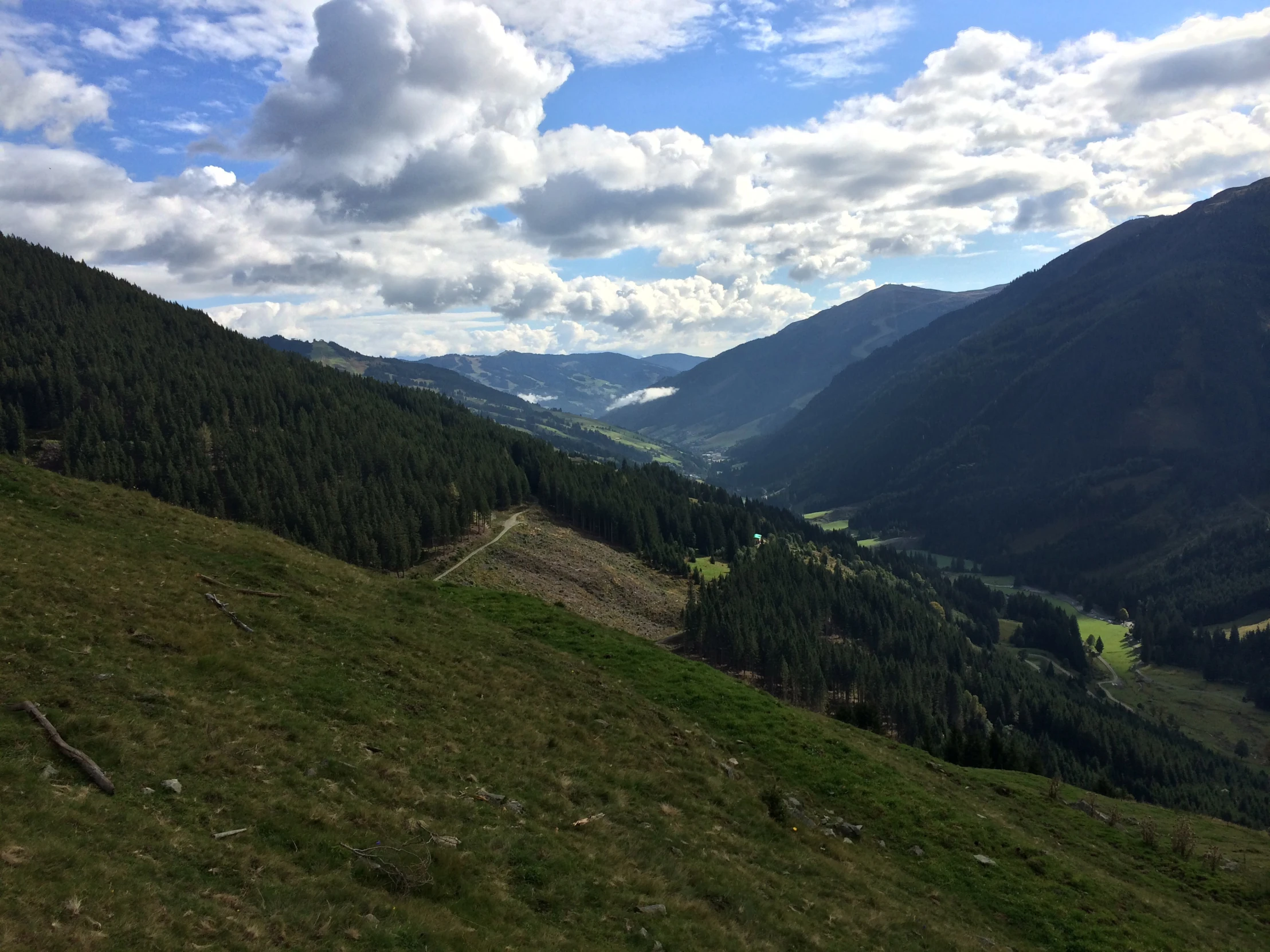 a view of green mountains and trees on a sunny day