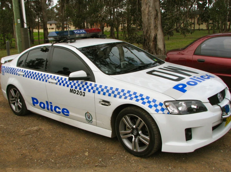 a police car is sitting parked in front of a tree