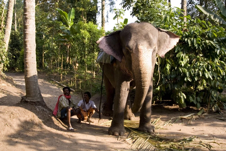 two people are sitting down by the elephant