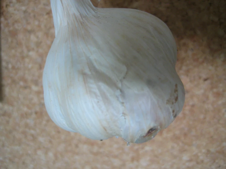 an image of garlic clove hanging from hook