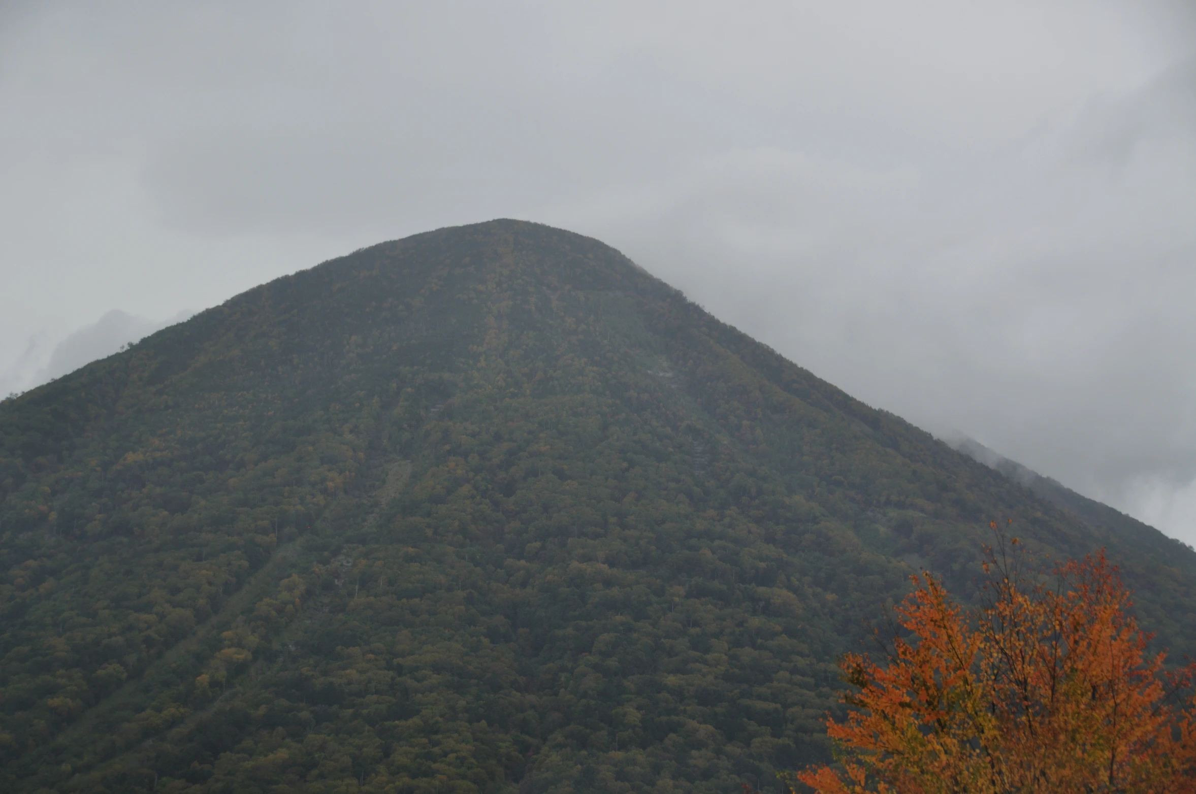 an area with a tall, tall mountain surrounded by autumn trees