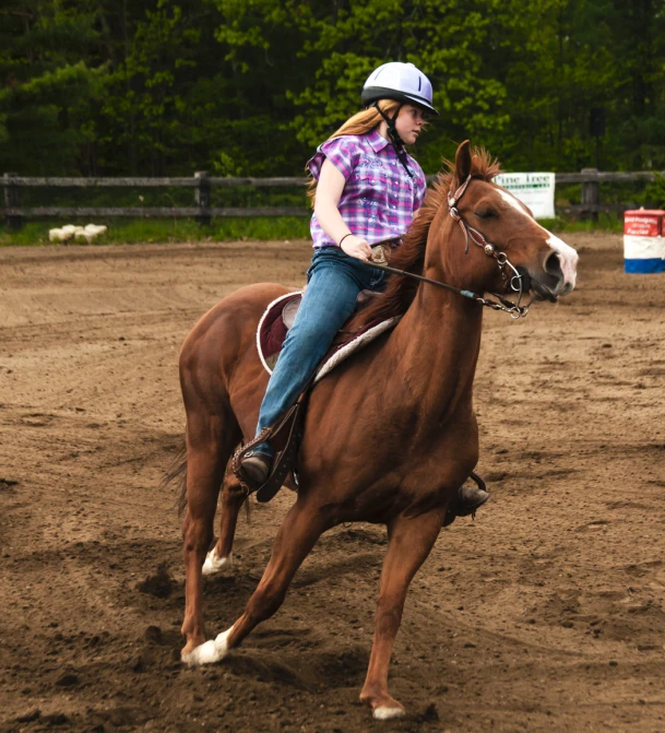 a girl wearing a helmet riding on top of a brown horse