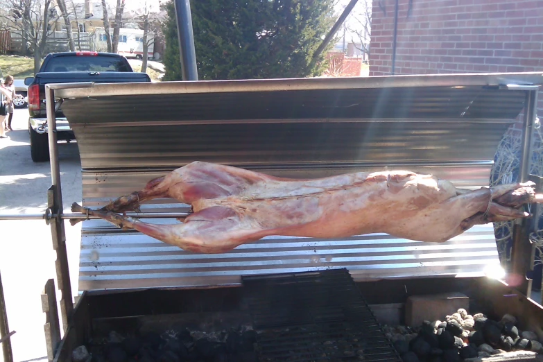 a large bone roasting on an outdoor grill