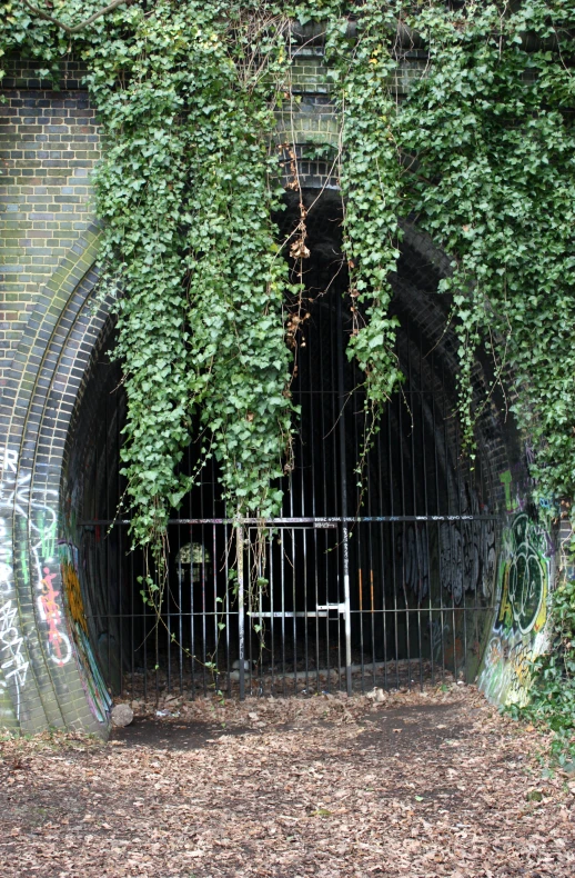 a black gated entrance with vines growing on it