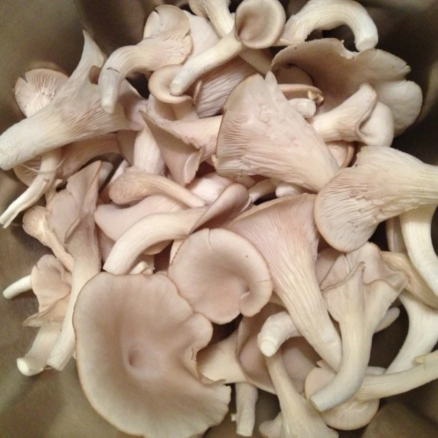 the mushroom is sitting in the bowl on the table