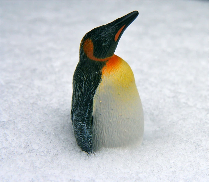 a penguin sitting on a bed of snow