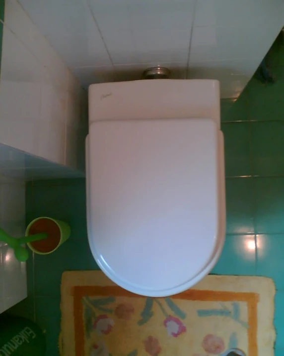 an overhead view of a toilet in a green bathroom