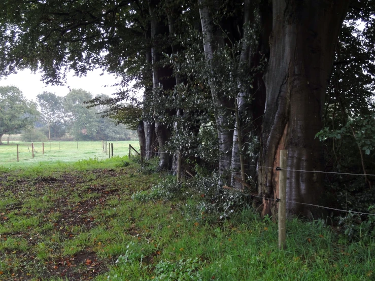 there is a gate near the dirt road