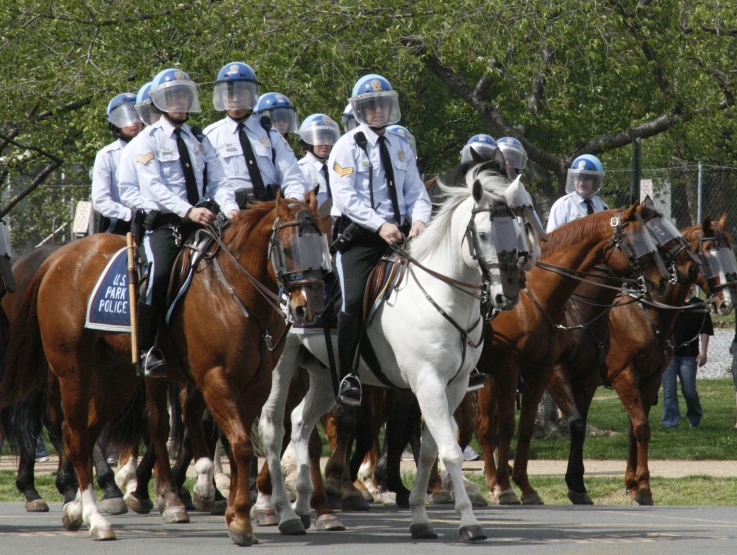 the officers are riding horses down the street