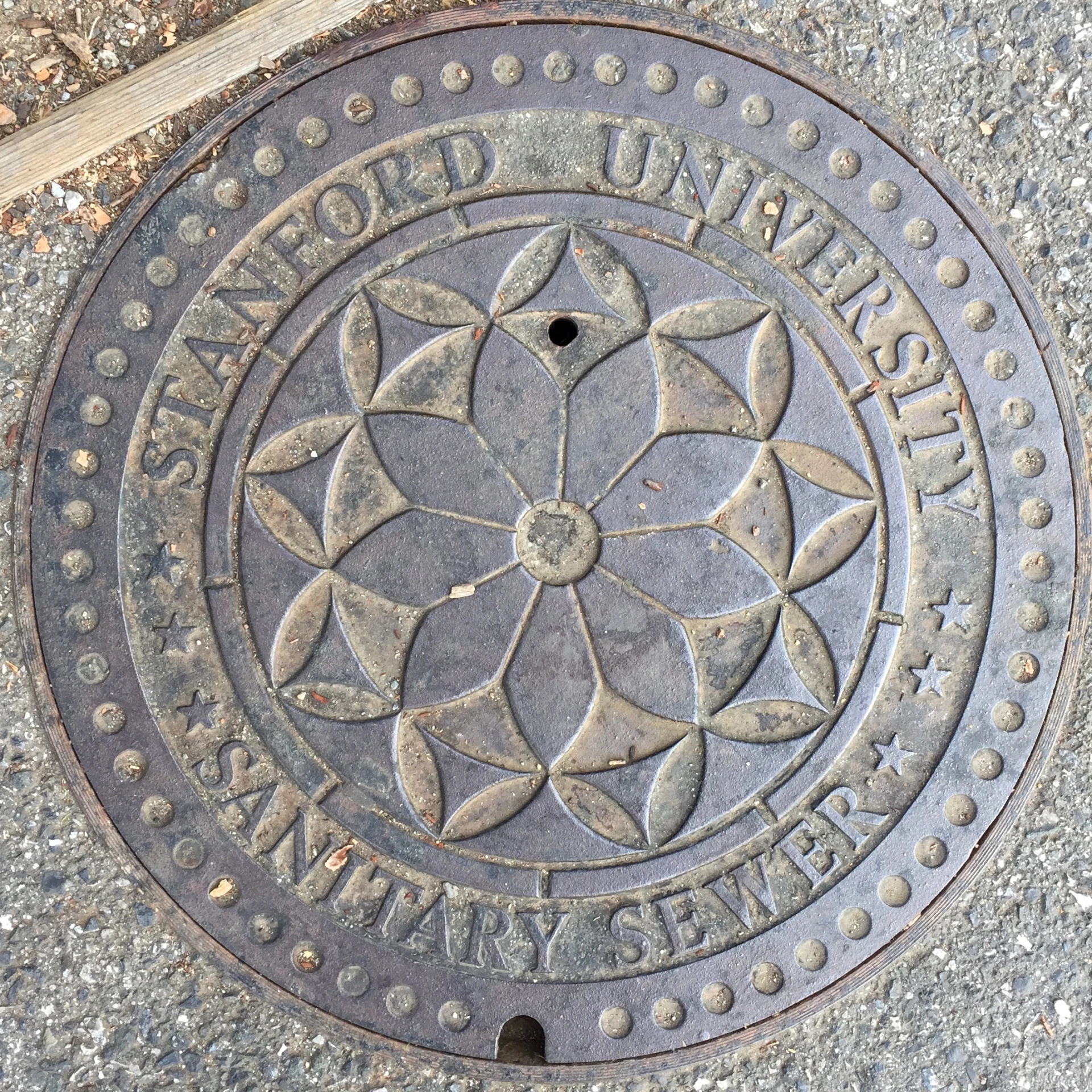 an iron sign on the ground with flowers in it