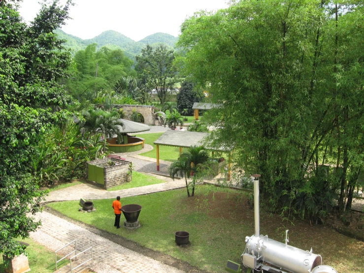 a person standing on grass next to trees and garbage cans