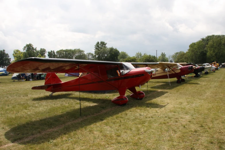 a row of small airplanes parked in the grass