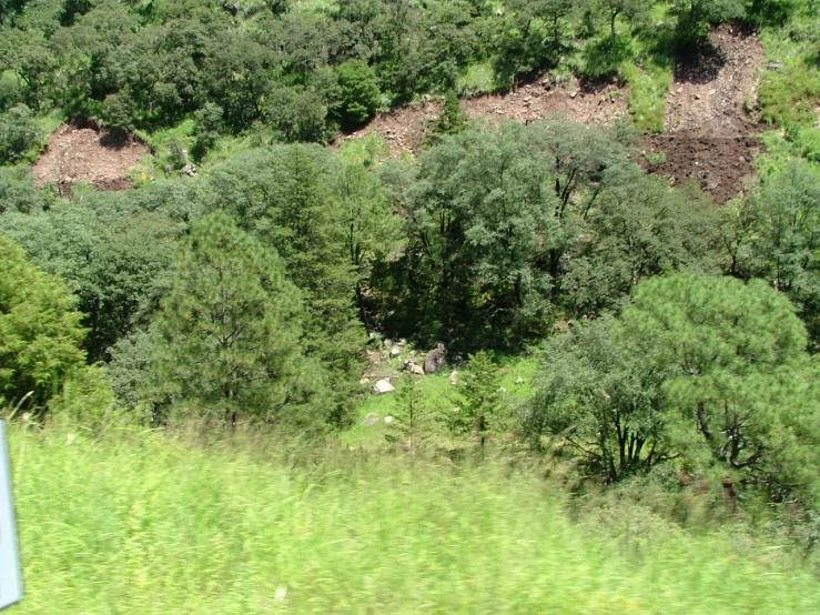 an out door vehicle is traveling by some green bushes and trees