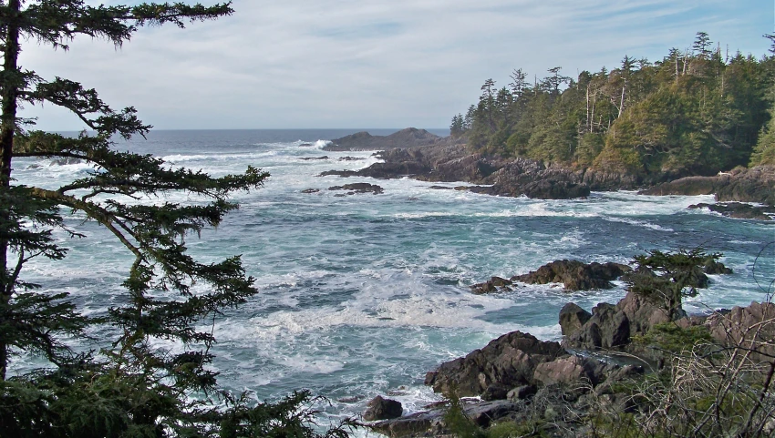 the waves break in the ocean along the shoreline