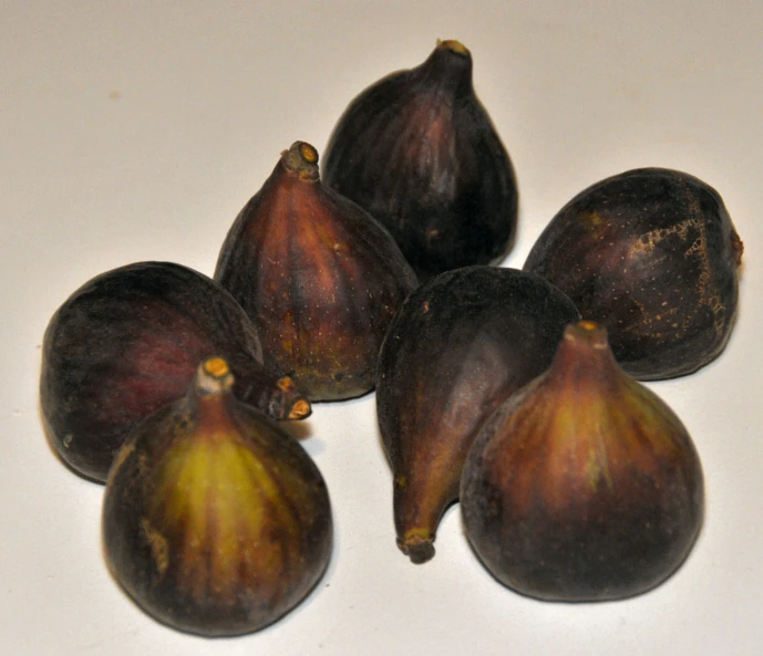 five figs in a circle and five in a row