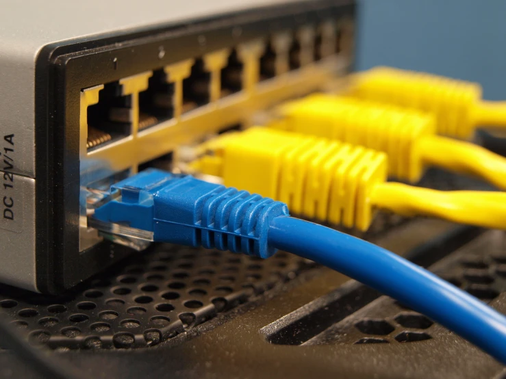 a close up of a lanyard with several blue and yellow cables connected