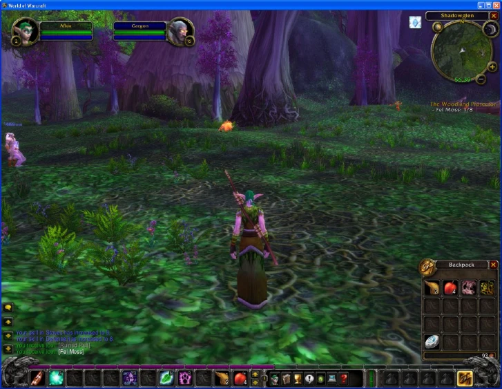 the screens shows the path in world of warcraft
