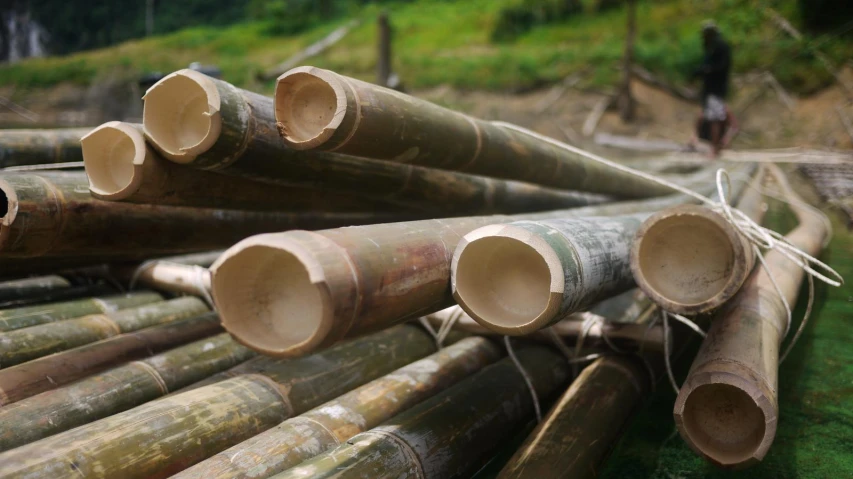 several bamboo poles stacked together next to one another