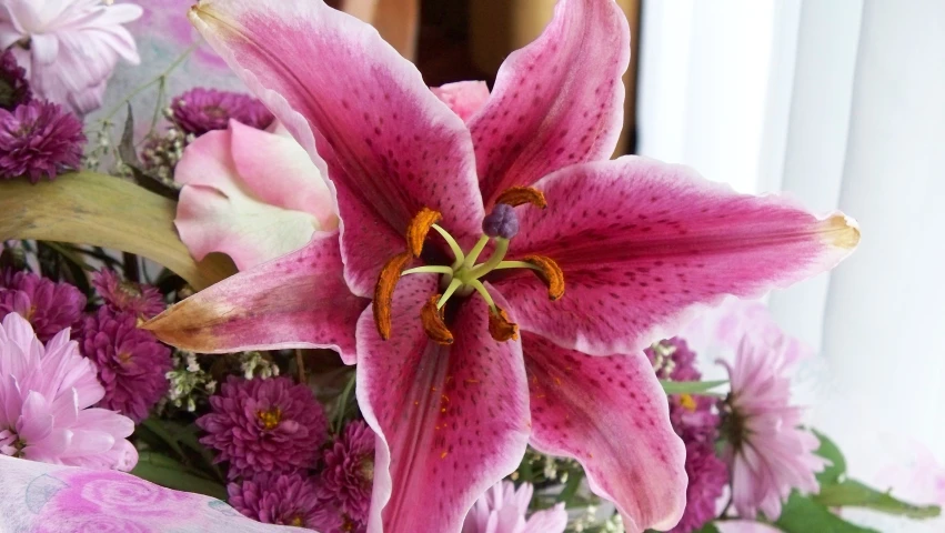 some pretty pink flowers are in a vase