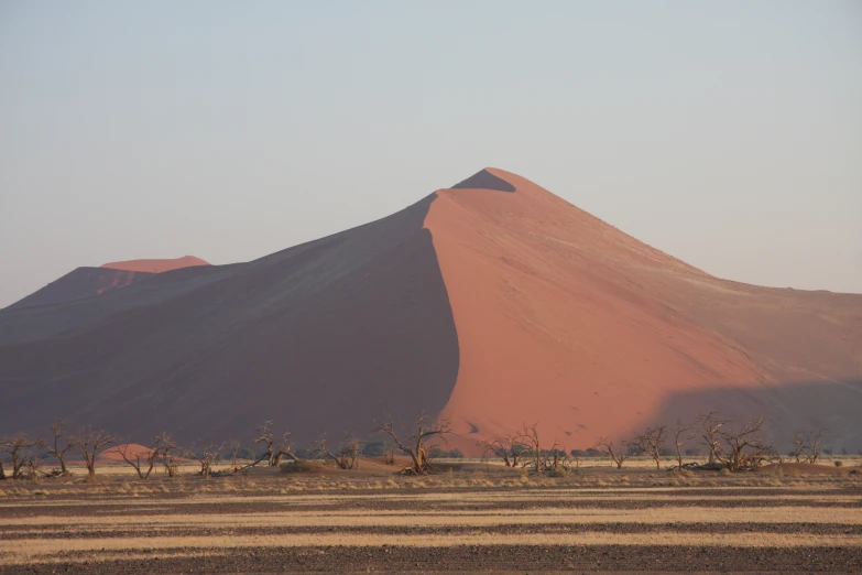 the lone elephant is in front of the huge sand dune