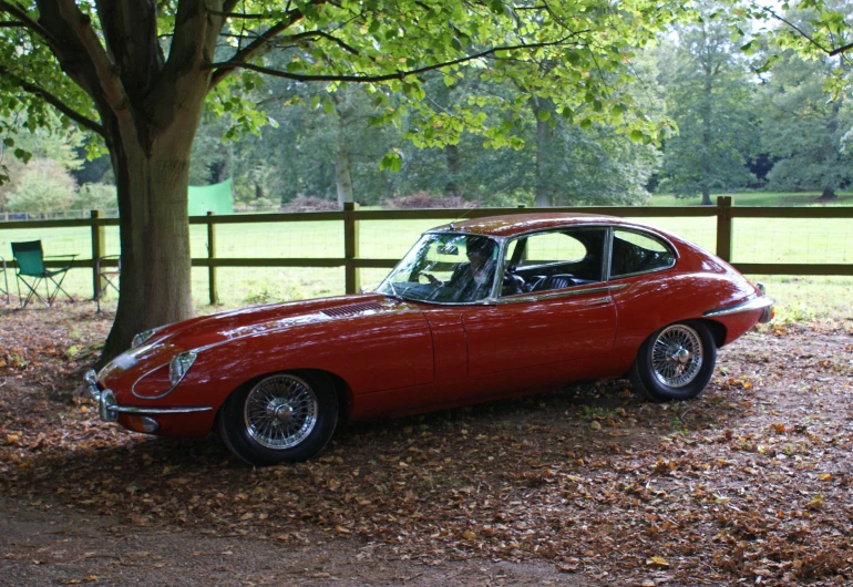 a red car that is parked in the grass