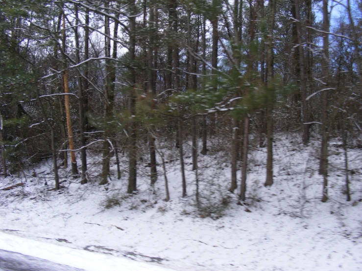 a view of snow covered ground in the woods