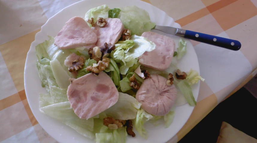 there is a plate of salad with meat on it