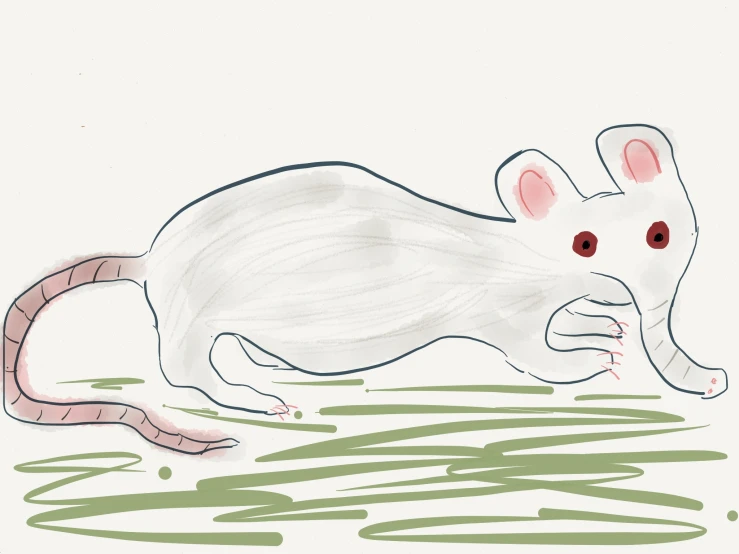a drawing of a rat looking down at soing on the ground
