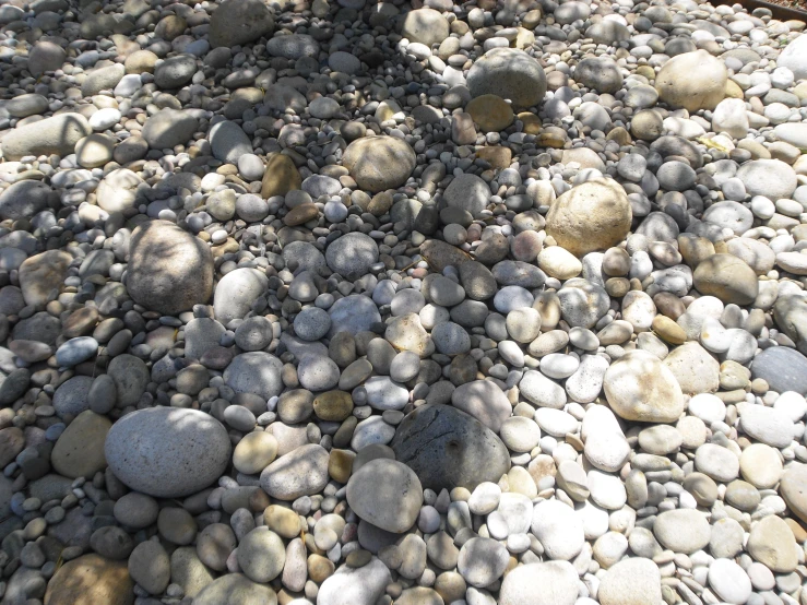 rocks and stones in the sand under a bench