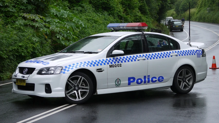 a police car parked along a tree lined road