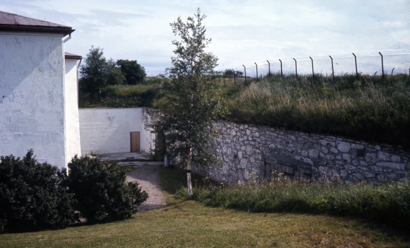 the back of a building with grass growing on top of it