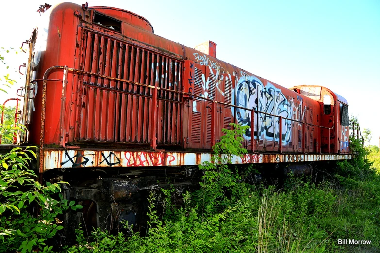 red train with graffiti on side and trees