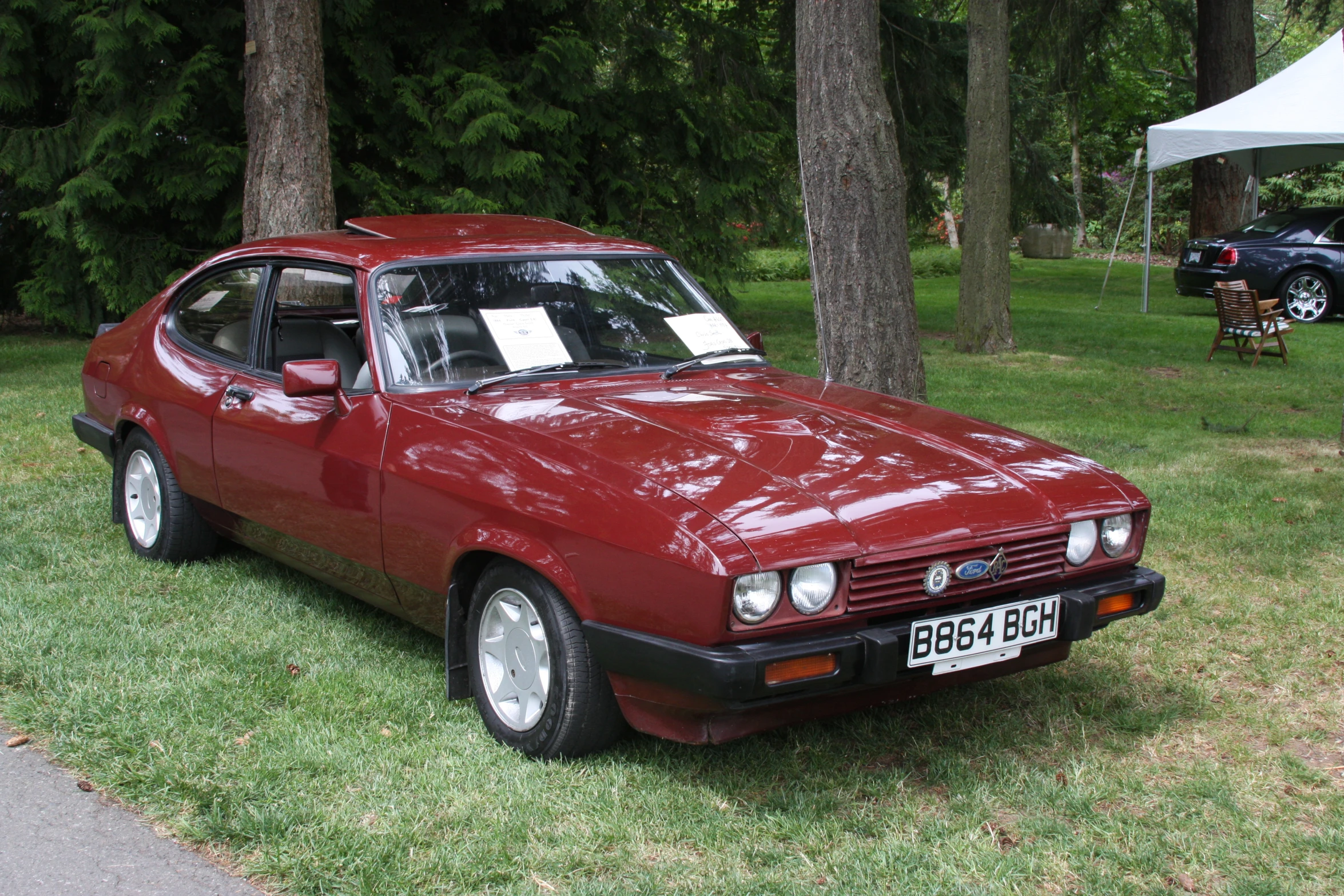 red classic car parked on grass near trees