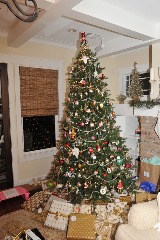 a tree sitting in the corner of a room