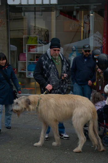 a dog with its leashed walks near people on the street