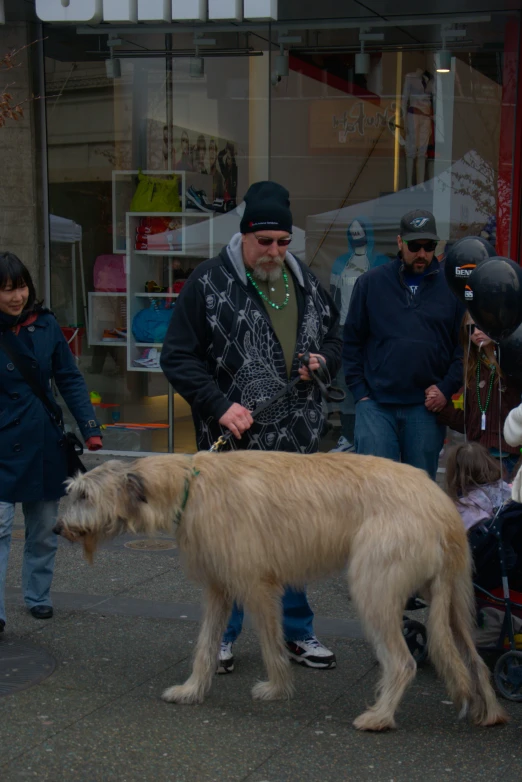 a dog with its leashed walks near people on the street