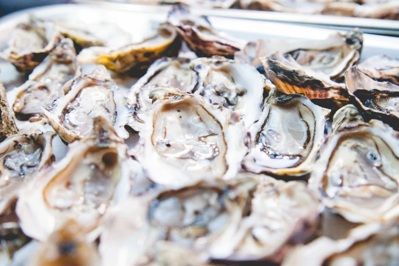 large, unripe oysters are being sold at an outdoor market