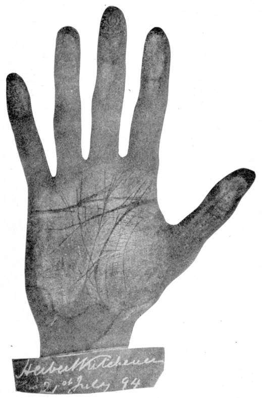 a black and white image of a palm holding a tree
