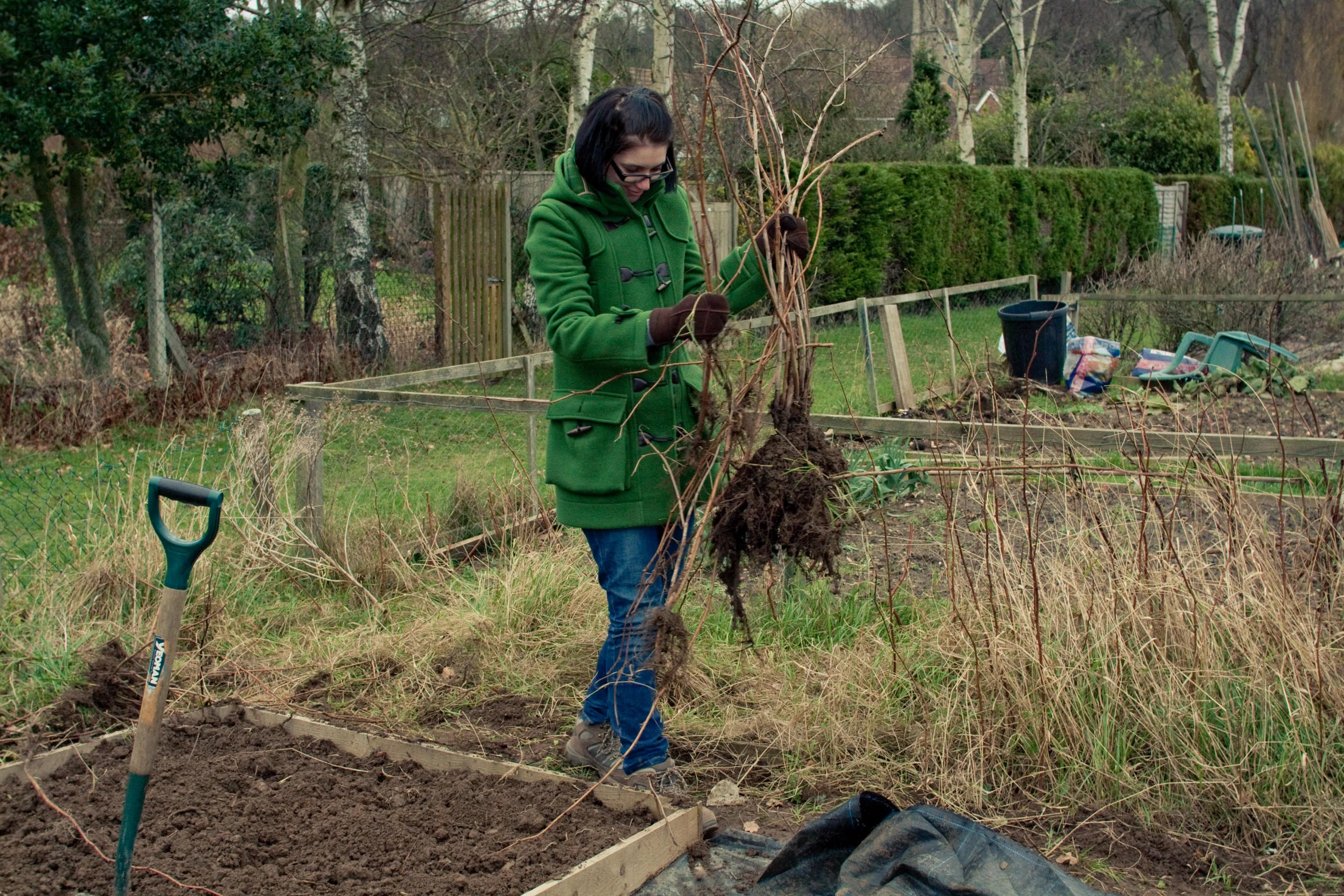 a woman picking through plants in her garden