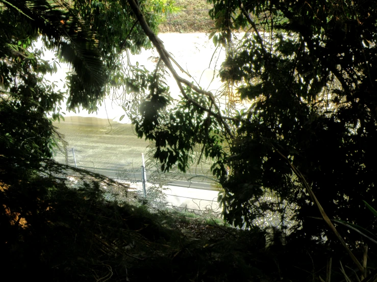 the fence near the water is very thin