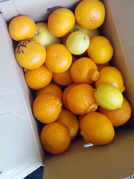 there is a box with lemons and lemons inside of it