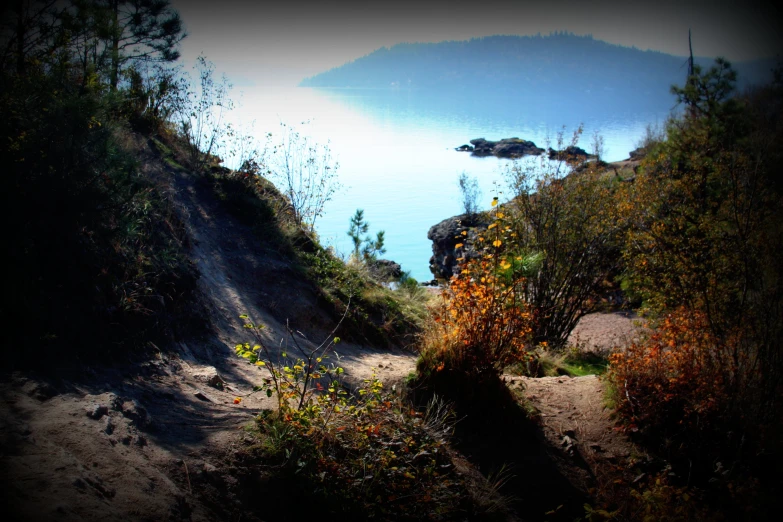 some trees water bushes and a hill and some hills