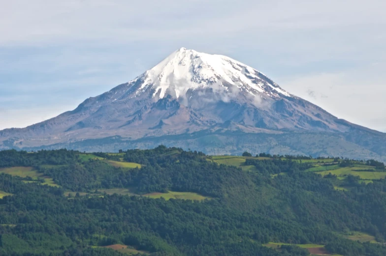 a snow - covered mountain surrounded by trees on a sunny day